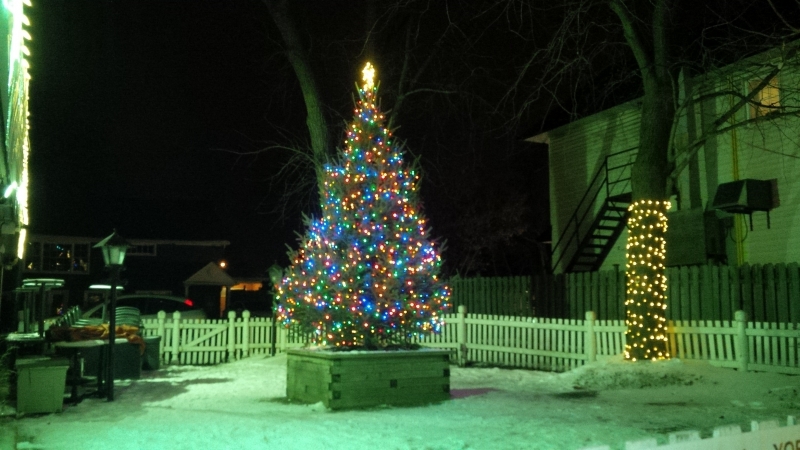 Live Christmas trees supplied in to adorn patio so guests can enjoy the Christmas ambiance while dining