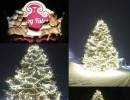 Dog Tales Sanctuary King City ON Spruce tree wrapped in thousands of 5mm LED lights with ornaments