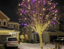 LawnSavers-Christmas-Decorating-Pink-and-white