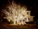 LawnSavers-Christmas-lighting-Award-St.-Georges-Rd