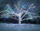 richmond-hill-christmas-multi-colour-tree-led-mini-lights-by-lawnsavers