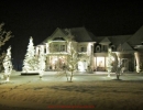 King City Christmas lights by LawnSavers white-lights-trees-roof-line2