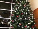st-joes-hospital-toronto-christmas-decoration-interior-large-15-foot-tree-no-people-by-lawnsavers
