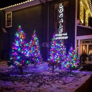 thornhill Christmas lights installation lawnsavers
