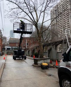 movie set christmas lights rental lawnsavers christmas chronicles netflix