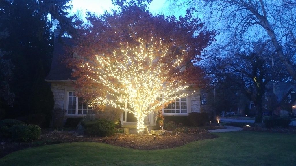 christmas lights installation aurora