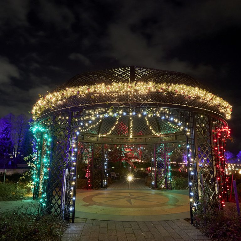 The 10 Best Christmas Lights Displays Toronto The Best in Christmas